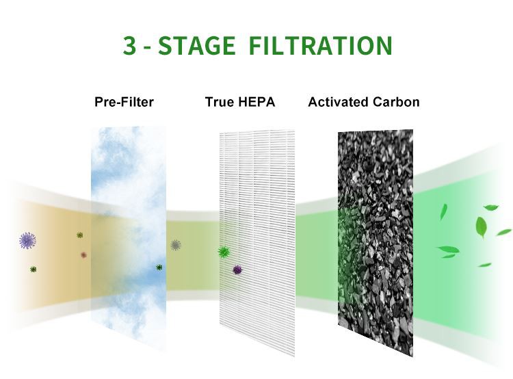 H01442f76c46847ad86f2762b76d3209fb (1)