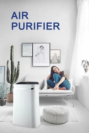 Purydd Aer Fflat Tynnwch y Paill a'r Alergenau