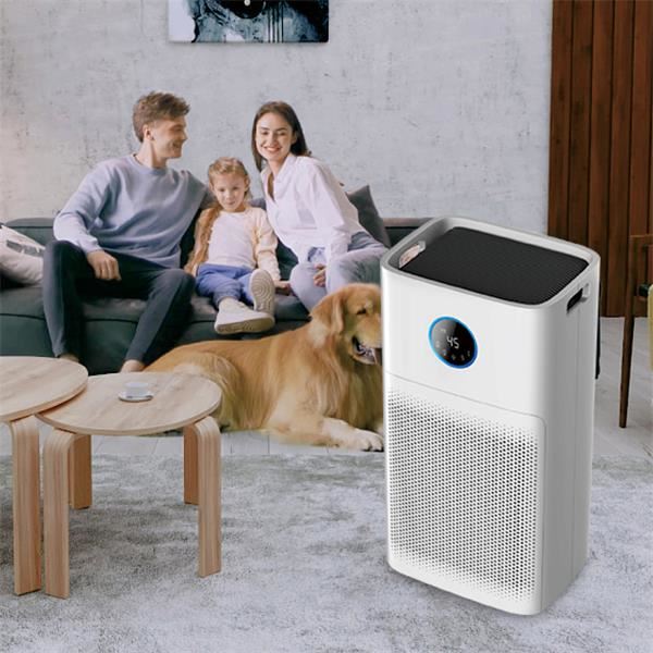 Purifier Wifi AIr CADR mawr gyda sgrin hidlo cyfansawdd H11