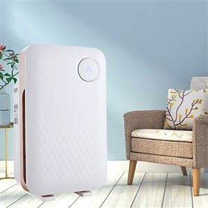 Purifier Aer Anion Gydag Amserydd