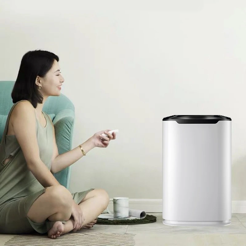 BKJ-215C Home Air Purifier PM2.5 Color Display suppliers
