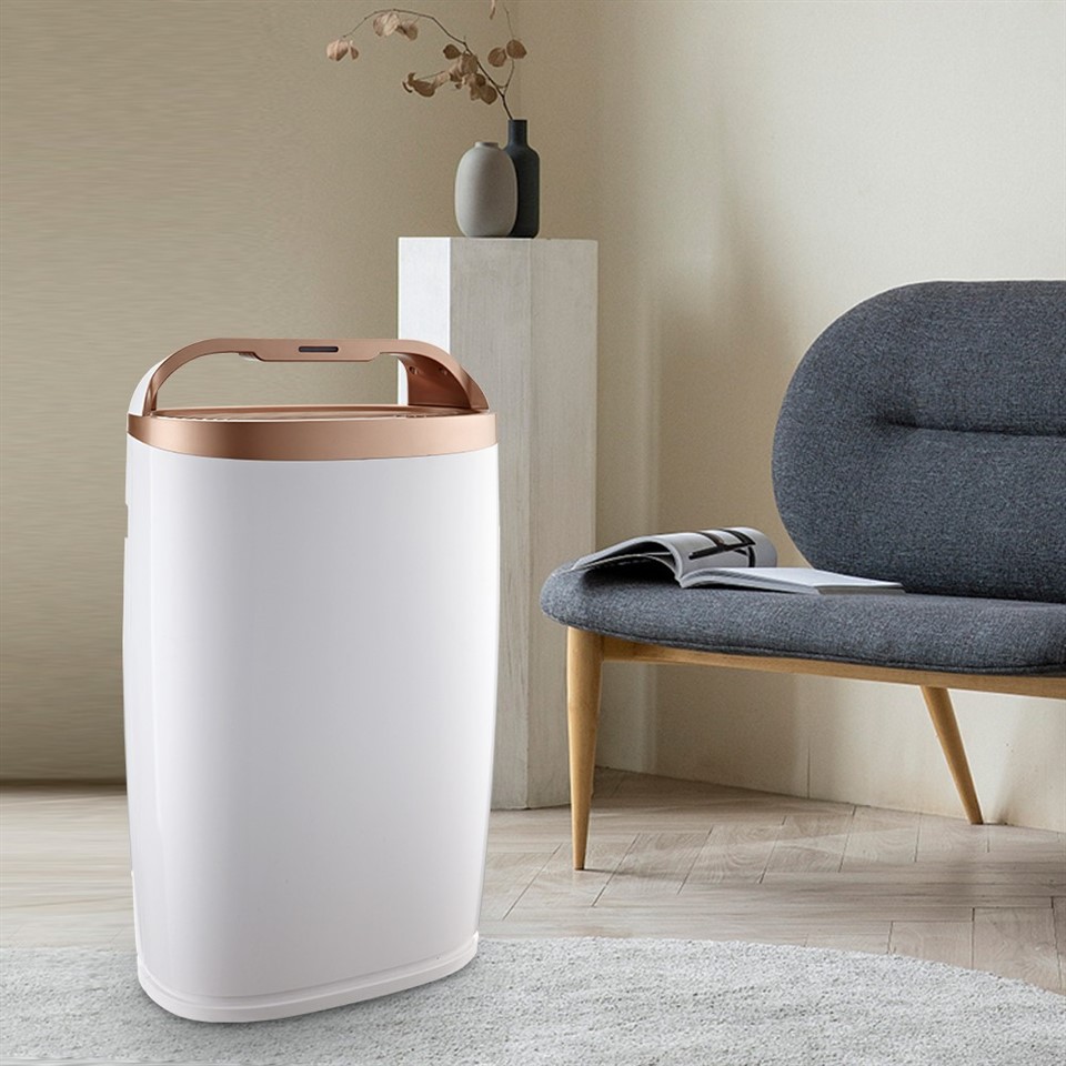 BKJ-306A Air Purifier Remove Pollen And Allergens
