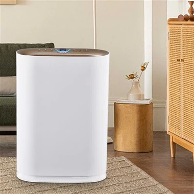 BKJ -300 Ystafell Purifier Awyr Ffres Awyr