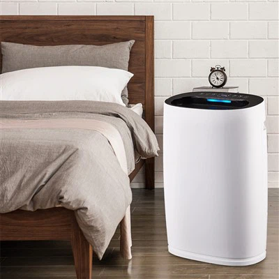 BKJ -306 Purydd aer cartref gronynnau effeithlon yn mwynhau awyr iach